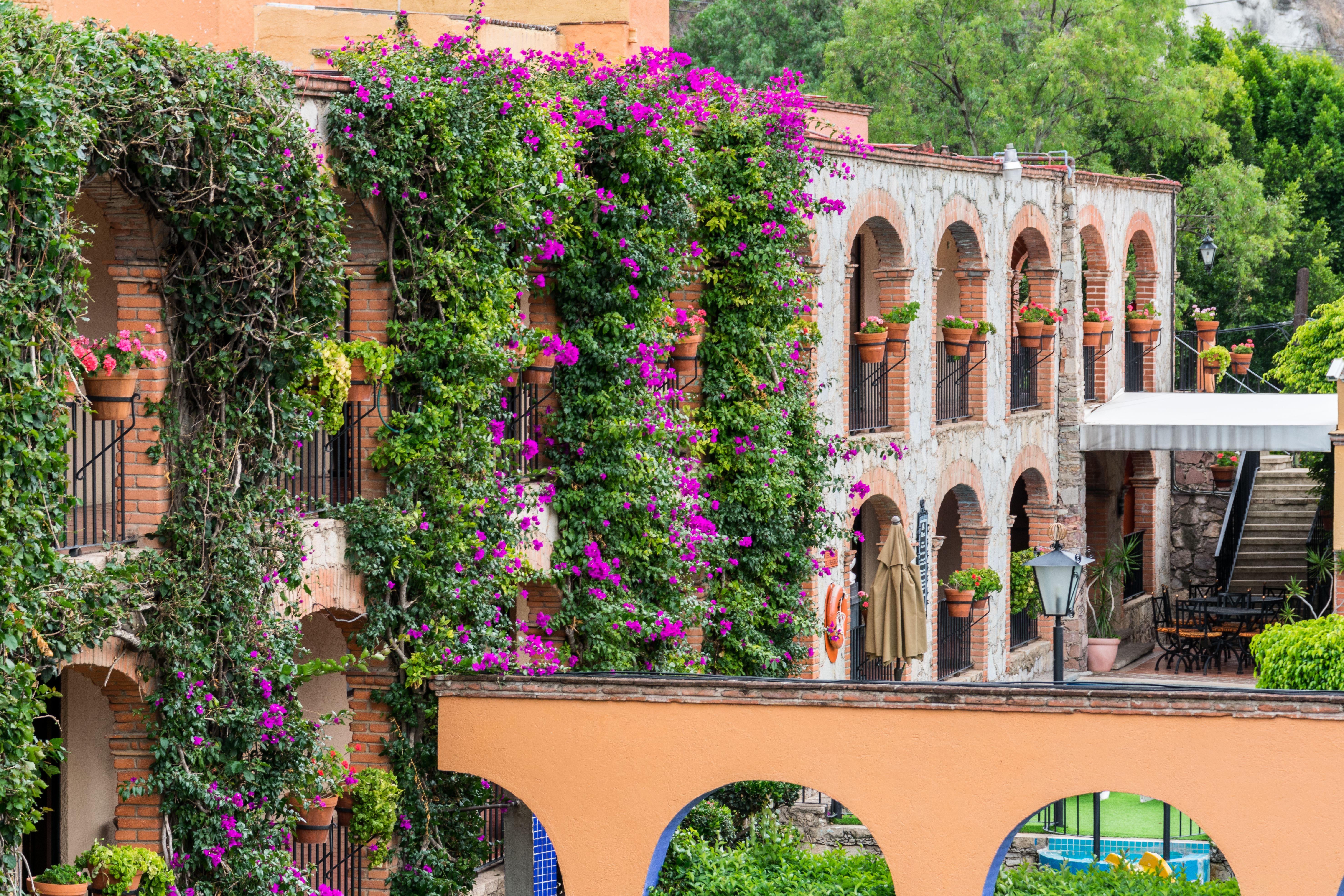 Hotel Abadia Plaza Guanajuato Kültér fotó