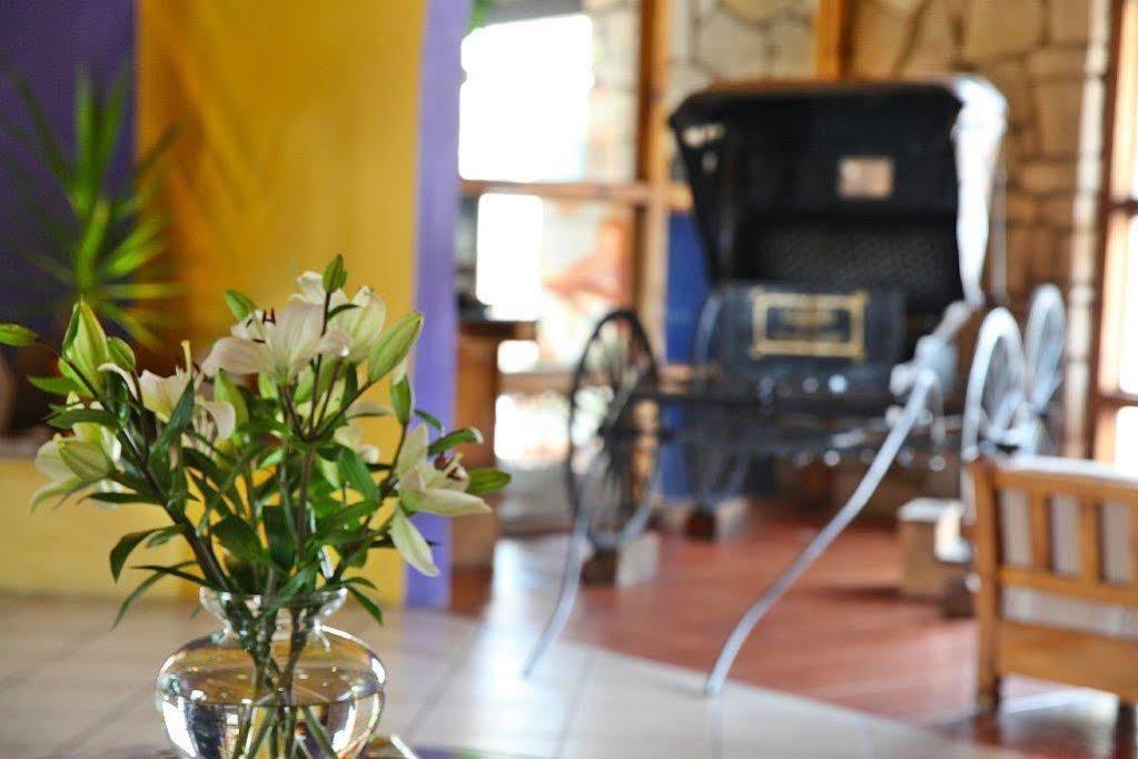 Hotel Abadia Plaza Guanajuato Kültér fotó